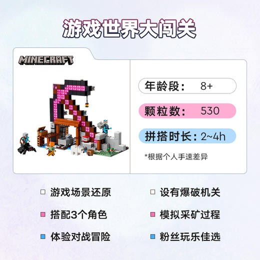 乐高LEGO 经典矿镐LEGC21277 商品图2