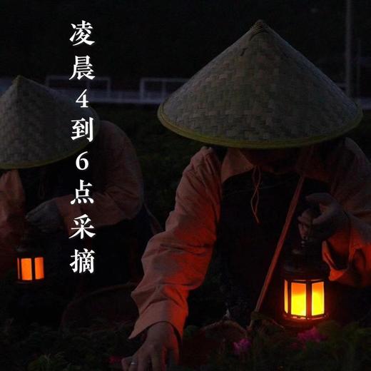 010重瓣玫瑰花  清香宜人 醇香清甜 药食同源 精油含量高 只选优质【头期重瓣玫瑰】 商品图2