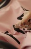 女士睡裙 纯棉套装家居服睡衣 商品缩略图6