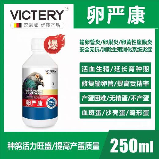 汉诺威【卵严康】活血生精修复输卵管提高受精率生殖系统鸽用品 商品图0