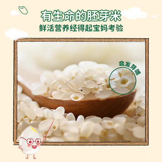 爷爷的农场有机胚芽米350g 商品图4