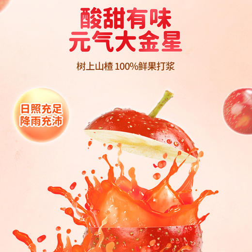 爷爷的农场益生元山楂果肉棒72g 商品图6