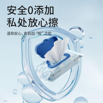 洁丽雅（Grace）湿厕纸40抽*10包家庭装20*15cm加大洁厕湿纸巾湿巾可搭卷纸卫生纸 /家庭清洁/纸品 /清洁纸品 /湿厕纸 商品图0