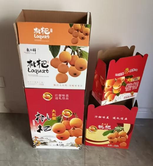 龙泉老树枇杷-树龄50-70年-京东冷链发货 包装随机 【水果】-ZY 商品图1