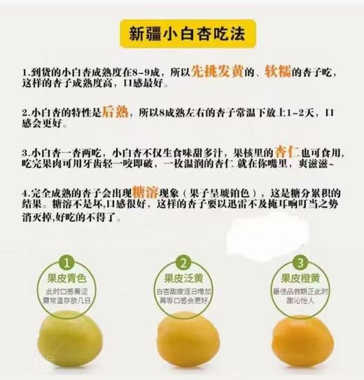 果然杏福新疆小白杏 商品图3