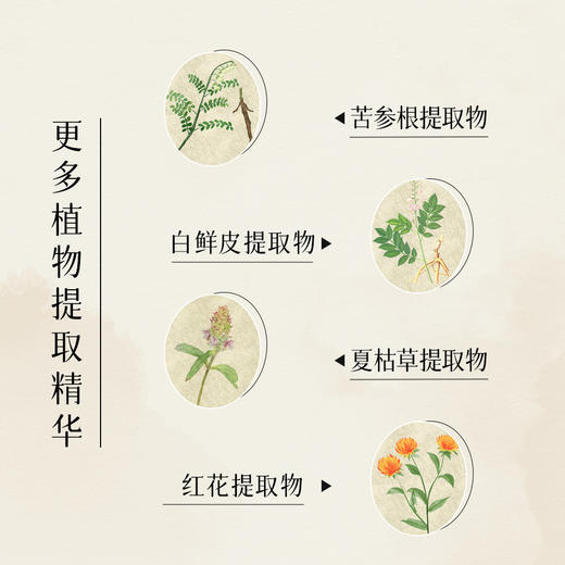 西蜀菁方 复方草本植萃养发控油去屑洗发水 商品图4