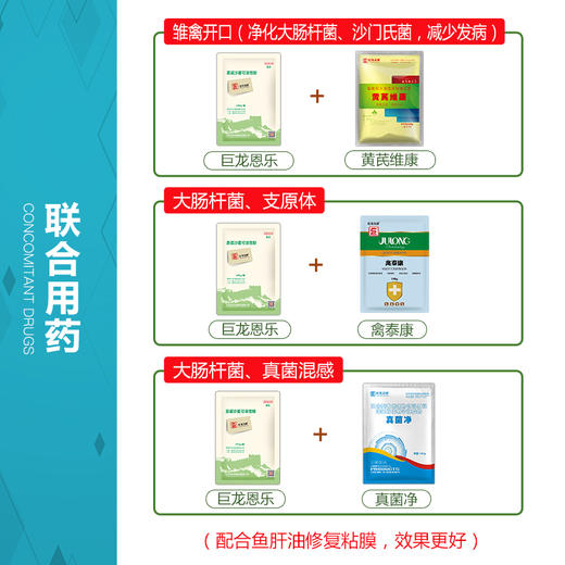 【巨龙恩乐】30%盐酸恩诺沙星可溶性粉畜禽猪鸡鸭鹅用100g/袋 商品图2