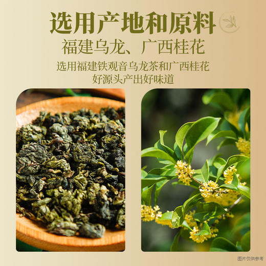 【HPP系列】如果HPP系列冷萃茶 青柑普洱 茉莉飘雪 桂花乌龙 原叶冷萃 商品图10