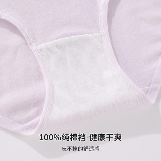 雅黛俪内裤女生纯棉夏季中腰无痕2025新款女士三角短裤头 商品图8