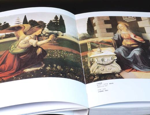 世界艺术大师丛书，11册，12开，河北美术出版社/河北美术/文化艺术出版社，2008年左右一版一印，每册约240页左右，每册单价160元，售价58元。品相8.5-9.5品。 商品图7