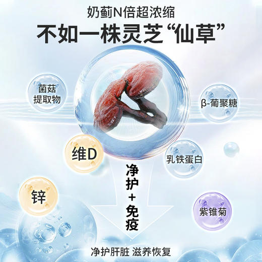 【邱震海专属】西班牙进口 Plameca灵芝乳铁蛋白胶囊 20粒/盒（有效期至2026年6月，介意慎拍） 商品图2