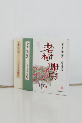 老树画画刘树勇老师的全新力作“老树册页”系列：《春色无边》《有时候》