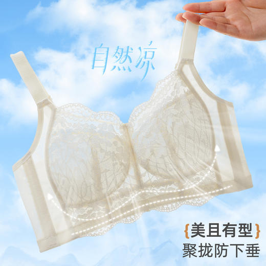 雅黛俪内衣女蕾丝大胸显小显瘦轻薄透气全罩杯收副乳无钢圈文胸 商品图3