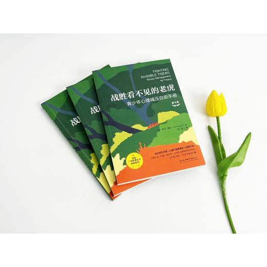 战胜看不见的老虎：青少年心理减压自助手册（第4版） 商品图1