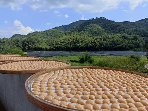 YXG野生酸枣糕 商品图4