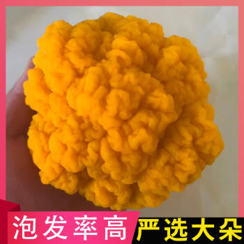 沛沛佳 云南新鲜金耳精选干货500g 煲汤炖汤食材 源头直发包邮 /粮油调味 /南北干货 /菌菇干货 商品图2