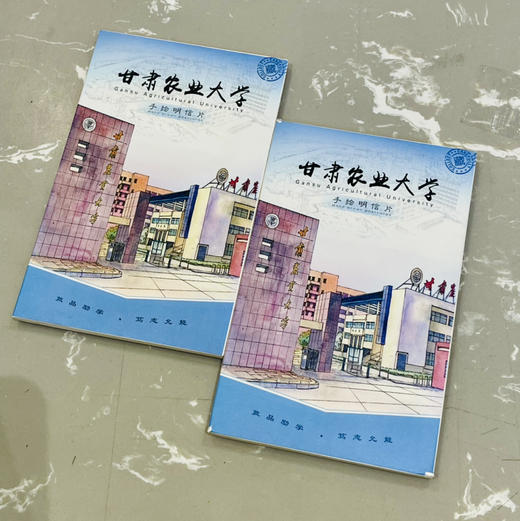 创意大学diy手绘明信片 10张/包 商品图3