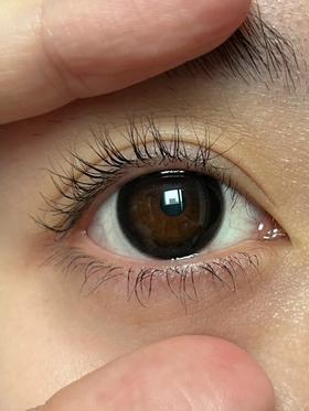 jellydoll 半年抛 水光泡泡 直径14.5mm着色14.3mm