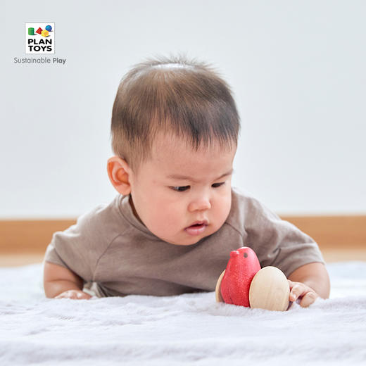 【PlanToys】前进的小鸟 5296 商品图1