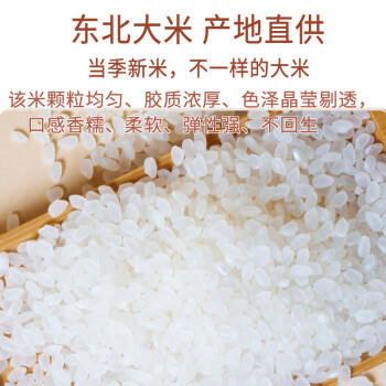 七河源雪晶米20斤 东北大米10kg 2024年新米 一级粳米中秋福利 公司团购 /粮油调味 /米 /珍珠米 商品图0