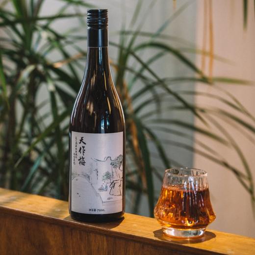 杨梅果酒 新鲜树上熟 枝头采摘杨梅 当日清洗 当日下缸 果味香果味浓郁 商品图2