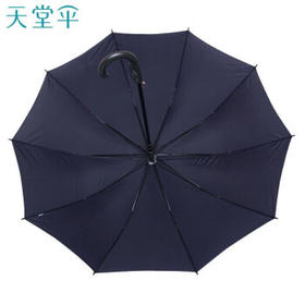 天堂伞 抗风双人雨伞长柄 10骨超大号半自动直杆晴雨两用伞商务伞深藏青