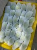 果然杏福新疆小白杏 商品缩略图4