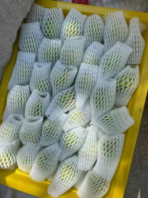 果然杏福新疆小白杏 商品图4