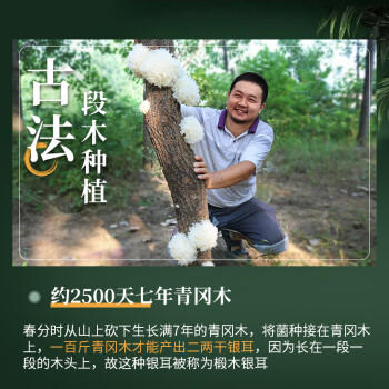 多跃椴木银耳90g精选白木耳无硫雪耳孕妇儿童软糯银耳羹特产煲汤食材 /粮油调味 /南北干货 /菌菇干货 商品图3