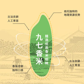 力源 稻桂邻九七香米10斤 广西一级籼米长粒大米 当季新米端午送礼 /粮油调味 /米 /油粘米