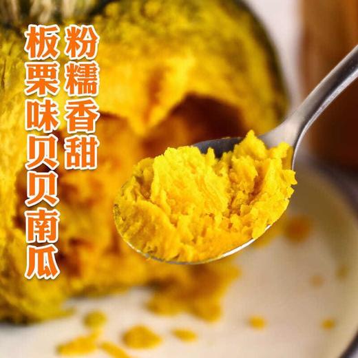(宁波日报推荐)  精品国产贝贝小南瓜 3斤装 商品图1