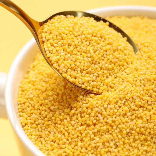 【武汉-蔡甸】优道有机黄小米750g/750g*2 商品图6