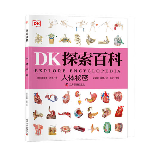 DK探索百科——人体秘密 寒假阅读寒假课外书课外寒假自主阅读假期读物 商品图0