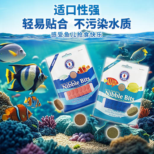 美国圣弗朗SFBB鱼粮海水鱼贴片饲料海洋牌鱼食创始人专业开口贴片 商品图2
