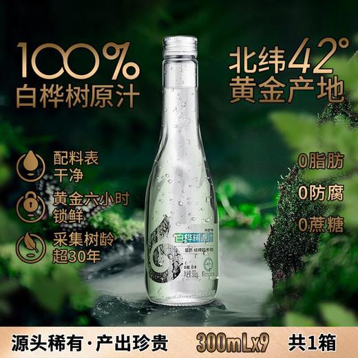 林源春白桦树原汁300ml*9/箱 商品图1