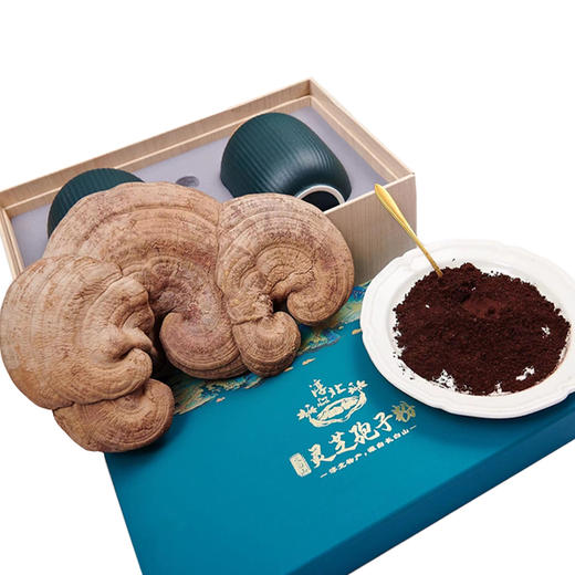 长白山赤灵芝孢子粉 粉质细腻 孢子油丰富 商品图1