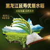 福临门 黑龙江长粒香大米 原香稻 10斤 9%黄金碾磨技术 /粮油调味 /米 /稻花香米 商品缩略图7