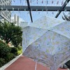 日本WPC遮阳伞*花儿朵朵超轻折叠防晒遮阳伞防紫外线太阳伞晴雨伞男女雨伞 商品缩略图11