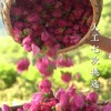 010重瓣玫瑰花  清香宜人 醇香清甜 药食同源 精油含量高 只选优质【头期重瓣玫瑰】 商品缩略图4