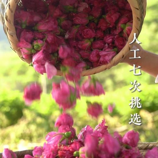 010重瓣玫瑰花  清香宜人 醇香清甜 药食同源 精油含量高 只选优质【头期重瓣玫瑰】 商品图4