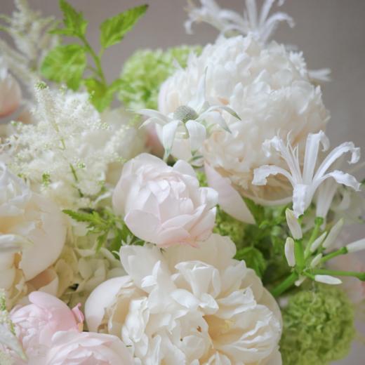 微漾回眸 Gaze 商品图2