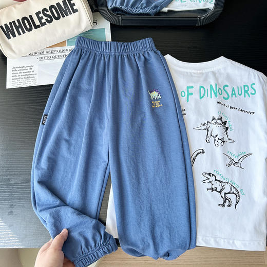 【59元2条】夏季轻薄超柔儿童人棉麻防蚊裤 男女童空调灯笼裤 商品图3