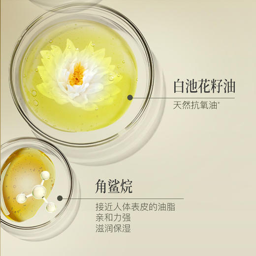 【赠面膜1片】自然之名 御兰精萃油膜5片/盒  A-4940（效期28-2） 商品图4