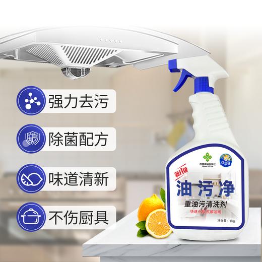 供销钦洁狮 油污净1kg 商品图3
