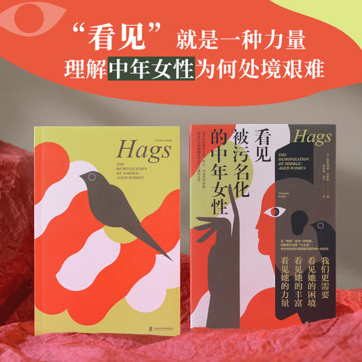 新书《看见被污名化的中年女性（赠贴纸）》女性主义畅销好书 商品图2