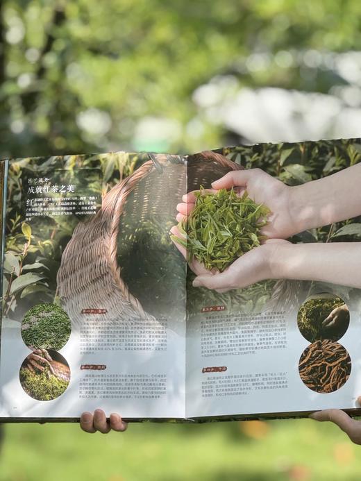 《中国茶叶全书》 赠“竹影清风”双面织锦茶席 商品图3