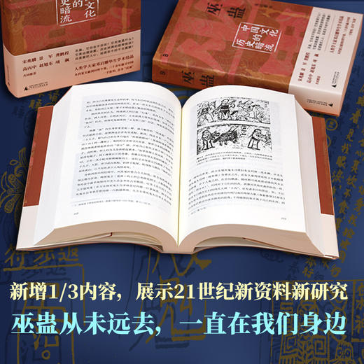 巫蛊：中国文化的历史暗流 商品图2