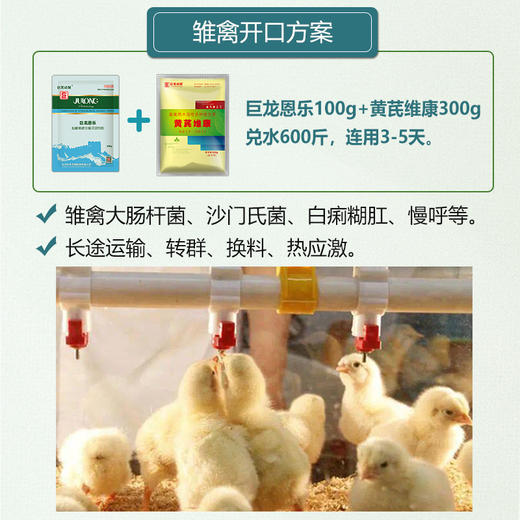 【巨龙恩乐】30%盐酸恩诺沙星可溶性粉畜禽猪鸡鸭鹅用100g/袋 商品图4