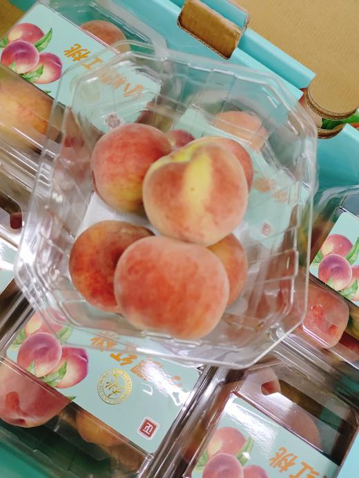 小樱红桃一盒 商品图2
