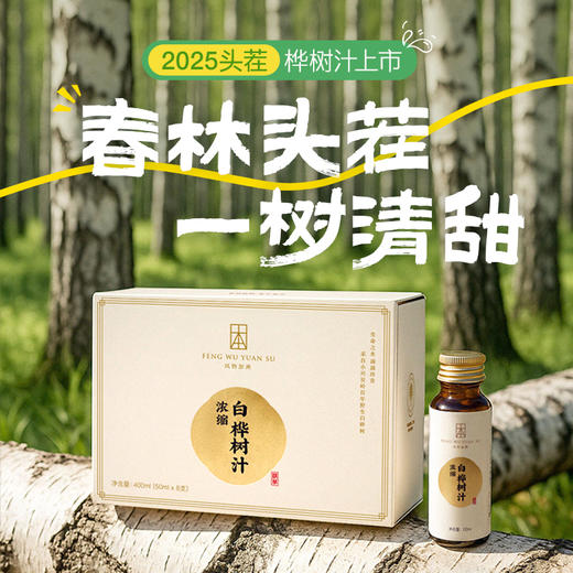 【浓缩桦树汁】12倍浓缩 取汁天然 安全0添加 商品图4